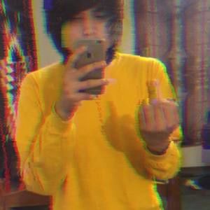 Meet your Posher, Dante